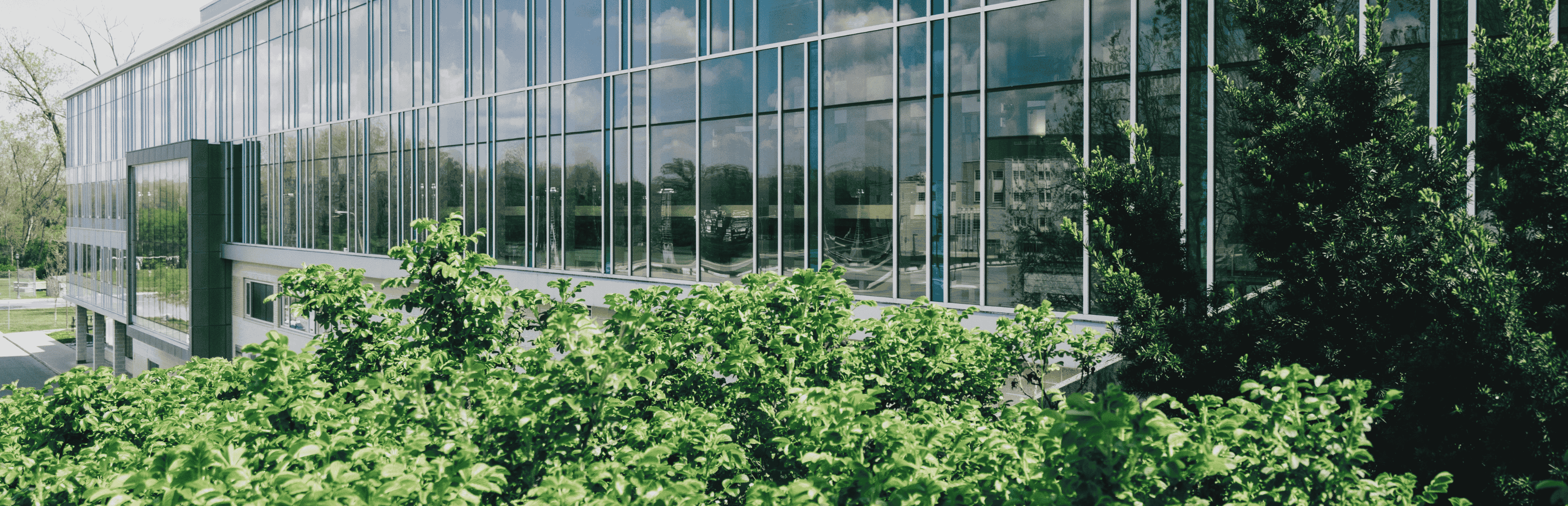 kiem toan nang luong